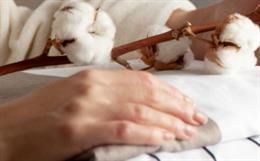 China aims high for domestic brands in clothing & home textiles in new FYP